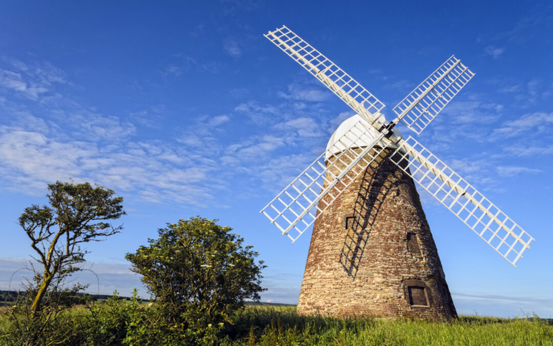 A Stroll through Time on the Halnaker Windmill Trail